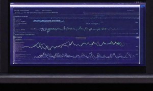 云安全新篇：智能弹性架构