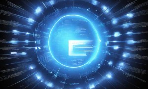 数据为王，佐证破局：站长资讯硬核逻辑