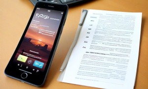 数据规划师进阶：语言选型与函数变量管理核心指南