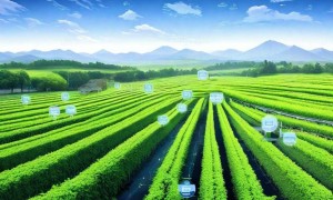 跨界融合，分布式追踪赋能站长资源新生态