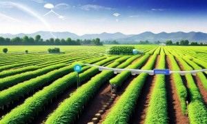 精简高效：Windows运行库管理与交互优化全攻略