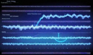 Linux H5开发环境搭建：数据库高效配置与运行指南